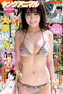 工程车动画片大全儿童动画片